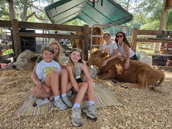 Rooterville Experiences and Covered Wagon Stays