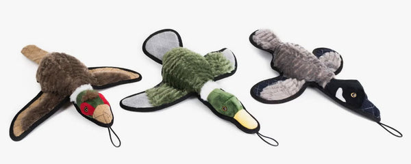 Pet Products &amp; Accessories