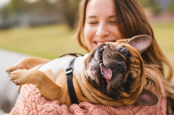Gifts for Pets-Toys