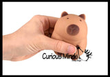 Soft Doh Capybara Animal Stress Balls Ultra Soft Kneadable