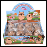 Soft Doh Capybara Animal Stress Balls Ultra Soft Kneadable