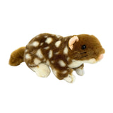Realistic Plush Eastern Quoll - 20cm Australian Marsupial Animals