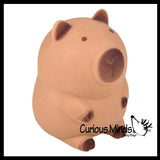 Soft Doh Capybara Animal Stress Balls Ultra Soft Kneadable