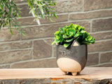 Abbott Abbott - Lg Cat on Legs Planter-5"H-871