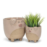 Abbott Abbott - Lg Pig on Legs Planter-4"H-873