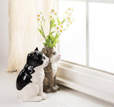 Abbott Black Abbott - Sitting Cat Vase-8"H