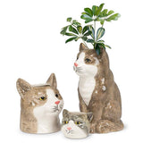 Abbott Black Abbott - Sitting Cat Vase-8"H