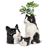 Abbott Black Abbott - Sitting Cat Vase-8"H