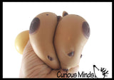 Soft Doh Capybara Animal Stress Balls Ultra Soft Kneadable
