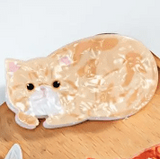 Ali-express hair clip Cat Hair Clips
