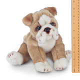Bearington Collection Bearington Collection - Tug the Bulldog