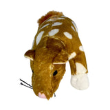 Bocchetta Plush Toys Bocchetta Plush Toys - Mini Quoll - 13cm