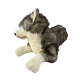 Bocchetta Plush Toys Bocchetta Plush Toys - Rocco - Husky - 62cm, lying