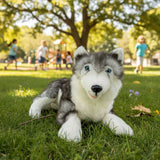 Bocchetta Plush Toys Bocchetta Plush Toys - Rocco - Husky - 62cm, lying