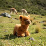 Plush Alpaca  Realistic Eco friendly - 25cm, lying, brown Alcapone