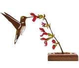 Elegant Garden Design Elegant Garden Design - Hummingbird on Salvia Tab -Painted