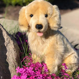Faire: Auswella Stuffed Animals Yellow Plush Red or Yellow Golden Retriever Sitting Realistic