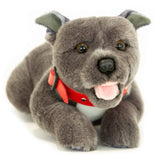 Faire-Bocchetta Plush Toys Blue Lying Staffordshire Bull Terrier Plush Floppy