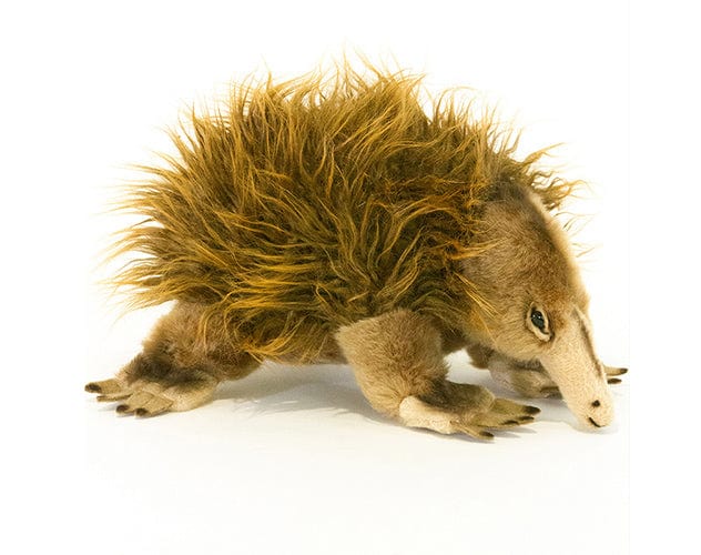 Peluche Edith L'Échidné Plush & Company - 30 Cm - Douce Et Câline