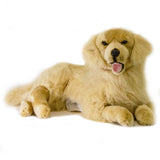FAIRE: FurTastic Friends by Bocchetta Plush Toys Plush large golden retriever Luna-Pouch Plush Golden Retriever Size Large Size Life-Like 62cm/25"