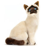 Seal point Siamese Cat Size 30cm/11.8