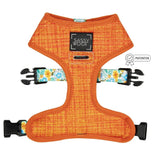 faire-sassy Woof Honey Bee Dog Gear by Sassy Woof Harness Leash