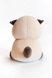 Floral Frolic Floral Frolic - Angry Cat Plush- Siamese Version