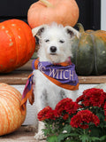Good Thomas™ Dog Lover Gift One Size Basic Witch Bandana