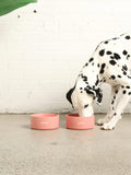 Good Thomas™ Dog Lover Gift One Size Ceramic Dog Bowl