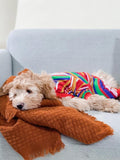 Good Thomas™ Dog Pajamas Groovin' Retro Pajama
