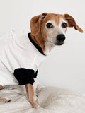 Good Thomas™ Dog Shirt Classique Baseball Tee (Only Dog Sizes Left)