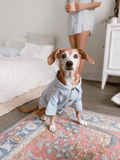Good Thomas™ Dog Shirt Hamptons Set