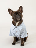 Good Thomas™ Dog Shirt Hamptons Set