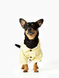 Good Thomas™ Dog Shirt Nantucket Set