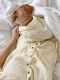 Good Thomas™ Dog Shirt Nantucket Set