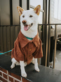 Good Thomas™ Dog Shirt Terry Polo