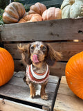 Good Thomas™ Dog Sweater Foxy Sweater