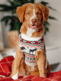 Good Thomas™ Dog Sweater The Great Yukon Sweater (Dog & Kid Sizes Only)