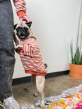 Good Thomas™ Dog Sweatshirt Poppy Pullover