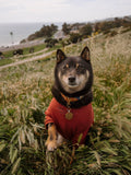 Good Thomas™ Dog Sweatshirt Terry Pullover