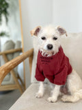 Good Thomas™ Dog Sweatshirt Terry Pullover