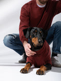 Good Thomas™ Dog Sweatshirt Terry Pullover