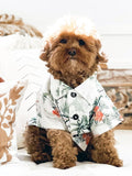 Good Thomas™ Hawaiian Shirt Sail Away BBQ Shirt (Dog & Kid Sizes Only)