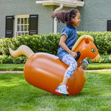 Hearthsong Hearthsong - Inflatable Ride-On Hop 'n Go - Single