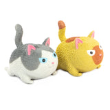 Keycraft Keycraft - Keycraft Squidgy Cat Sensory Toy