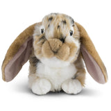 Keycraft Keycraft - Living Nature Brown Dutch Lop Eared Rabbit Plush Stuffed Toy