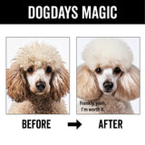PRIDE+GROOM DOGDAYS Hydrating Dog Shampoo
