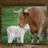 Rustic Nester 11x14 Rustic Nester - Farm Animal Canvas Art Print, Nursery Decor, Farmhouse style