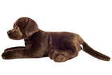Teddy Hermann Teddy Hermann - Labrador chocolate brown 50 cm - plush toy - stuffed animal