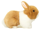 Teddy Hermann Teddy Hermann - Rabbit beige-white 23 cm - Plush toy - Stuffed animal